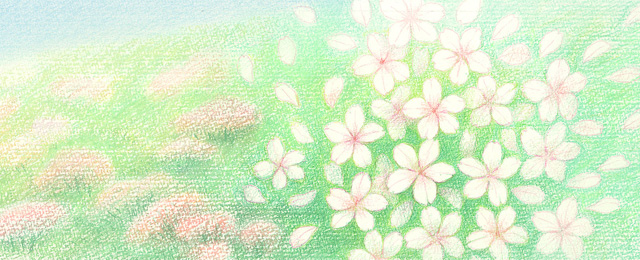 ４月のイラスト：桜