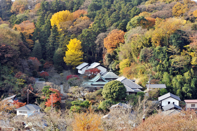 【鎌倉行事カレンダー】１１月