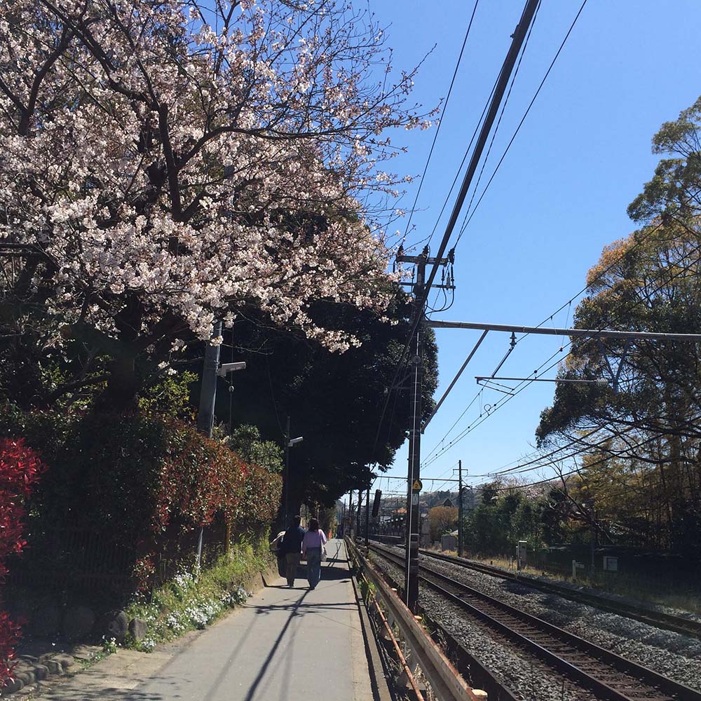 北鎌倉の路地