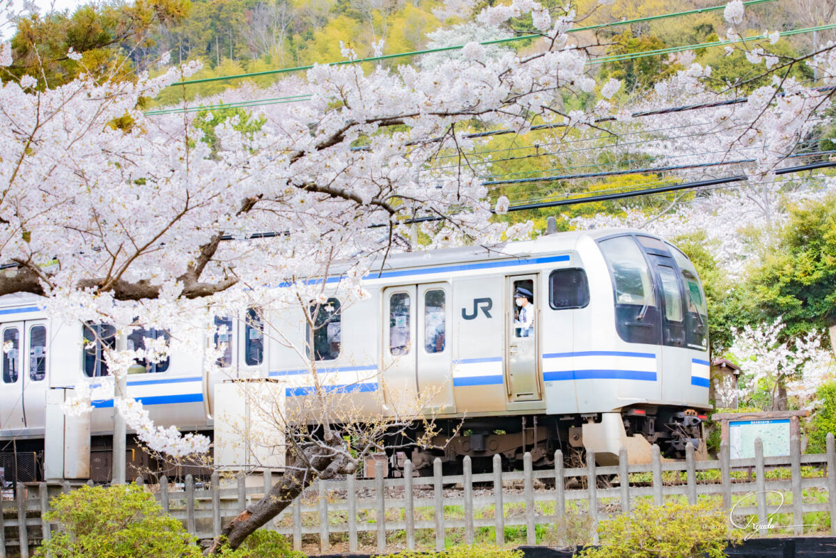 いつも見ている風景も・・